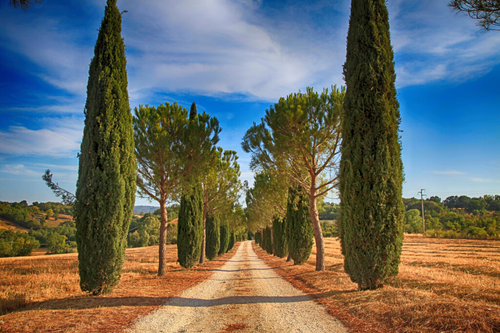 Een weg in Toscane waar je volop contact met de natuur kunt ervaren